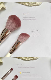 Cangzhou Makeup Brush Tool Outfit Novice Dry Rose